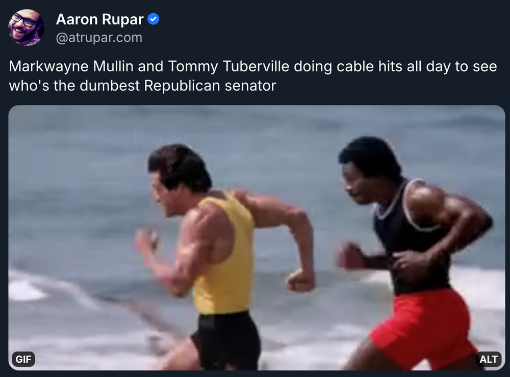 Screen Shot 2026-03-03 at 9.10.53 AM.png