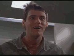 image.gif