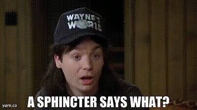 image.jpeg