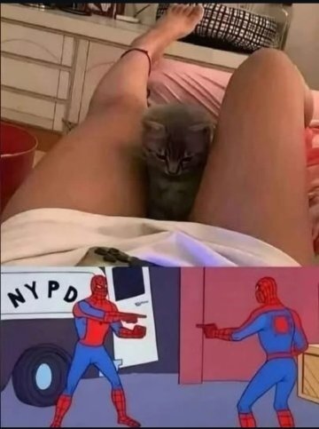image.jpeg