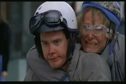 image.gif