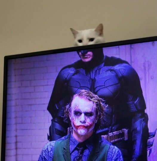 image.jpeg