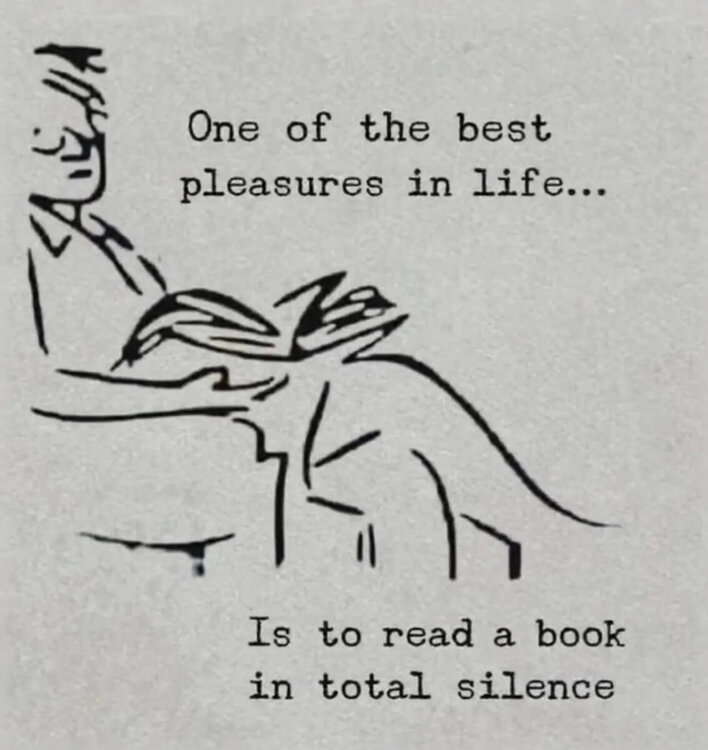 image.jpeg