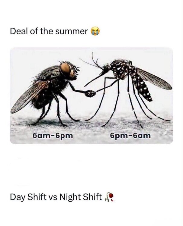 FB_IMG_1782704430657.jpg