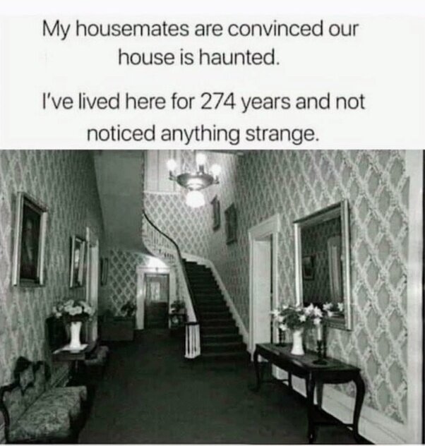 IMG_0045.jpeg