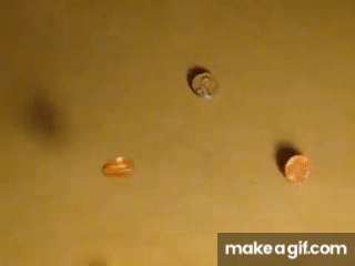 image.gif