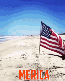 image.gif