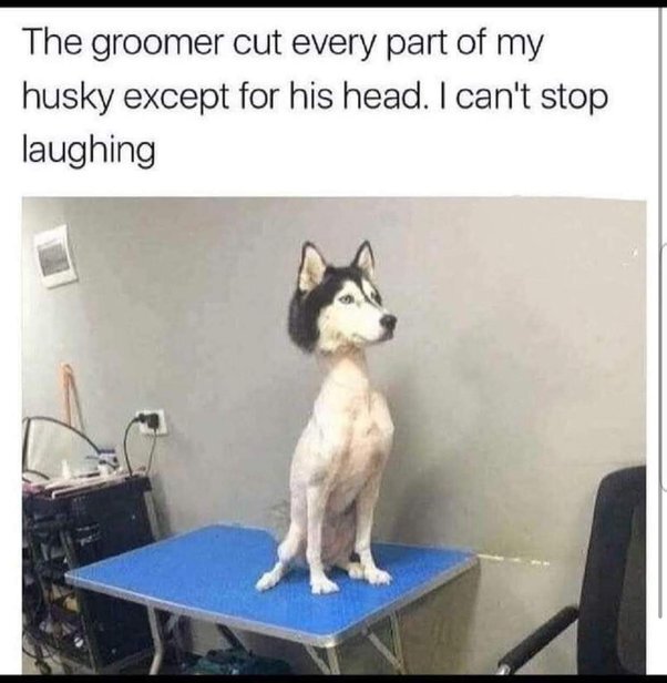 image.jpeg