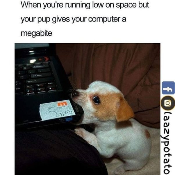 image.jpeg