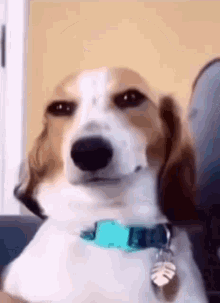 IMG_9401.gif