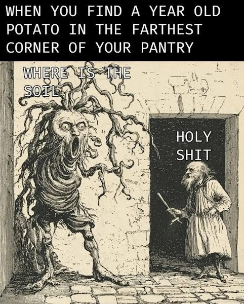 1789618618833613.jpg