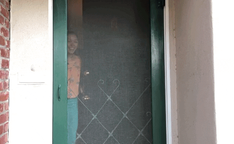 giphy (2).gif