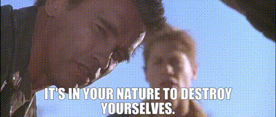 image.gif