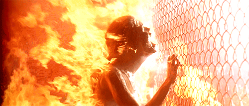 image.gif