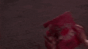 100.gif