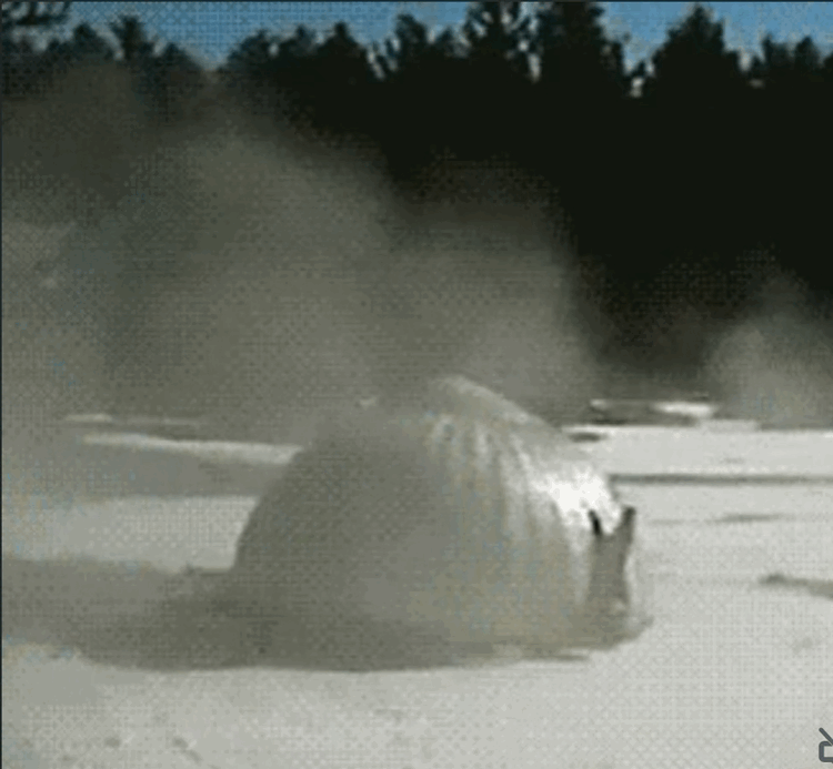 VideoToGif_GIF.gif