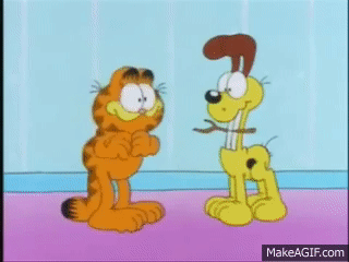 image.gif