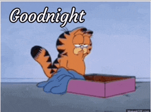 image.gif