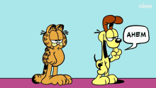 image.gif