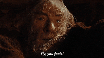 image.gif