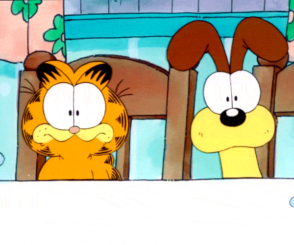 image.gif