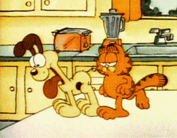 image.gif