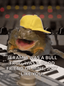 image.gif