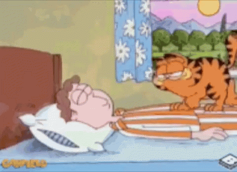 image.gif