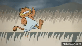image.gif