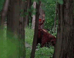 image.gif