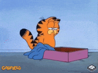 image.gif