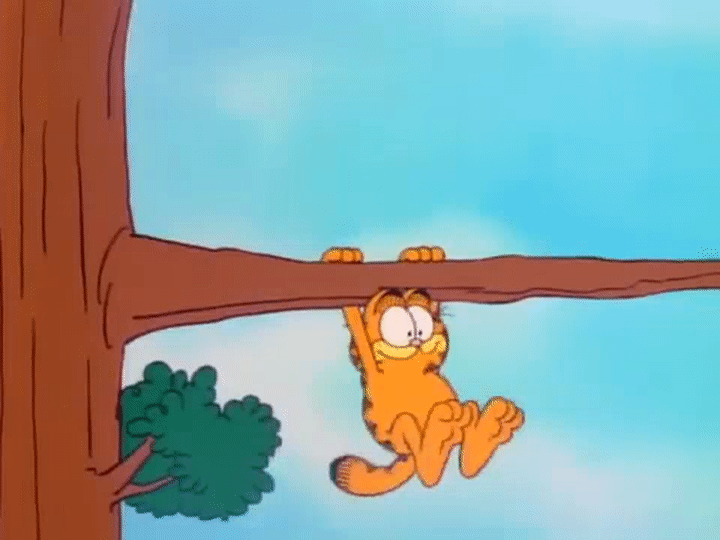 image.gif